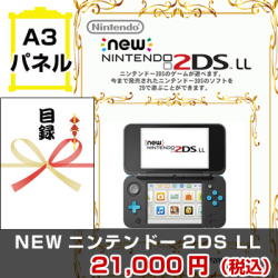 NEWニンテンドー2DSLL 景品パネル&引換券付き目録