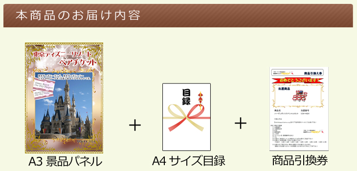 東京ディズニーリゾートペアチケットお届け内容