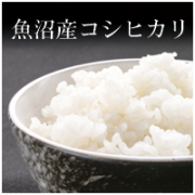 各種イベント景品定番のコシヒカリ・選べるブランド米景品セット